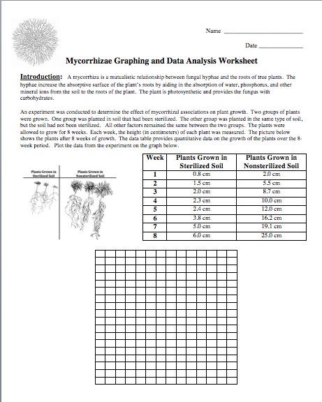 Mycorrhizae Graphing And Data Analysis Worksheet Answer Key