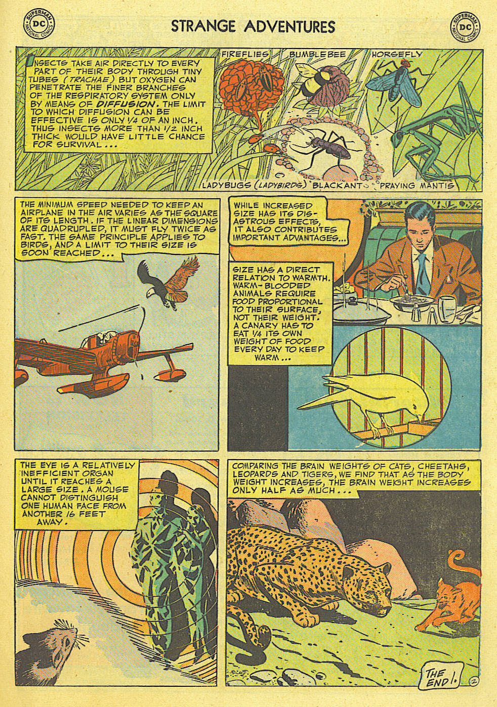 Read online Strange Adventures (1950) comic -  Issue #22 - 21