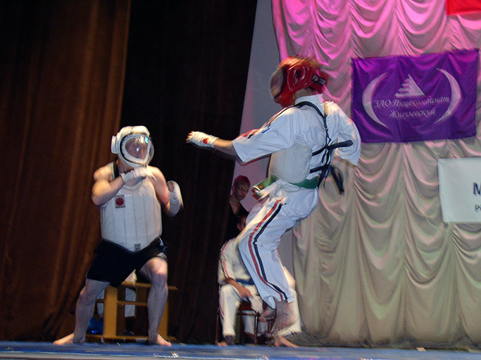 Показательные выступления по смешанным единоборствам