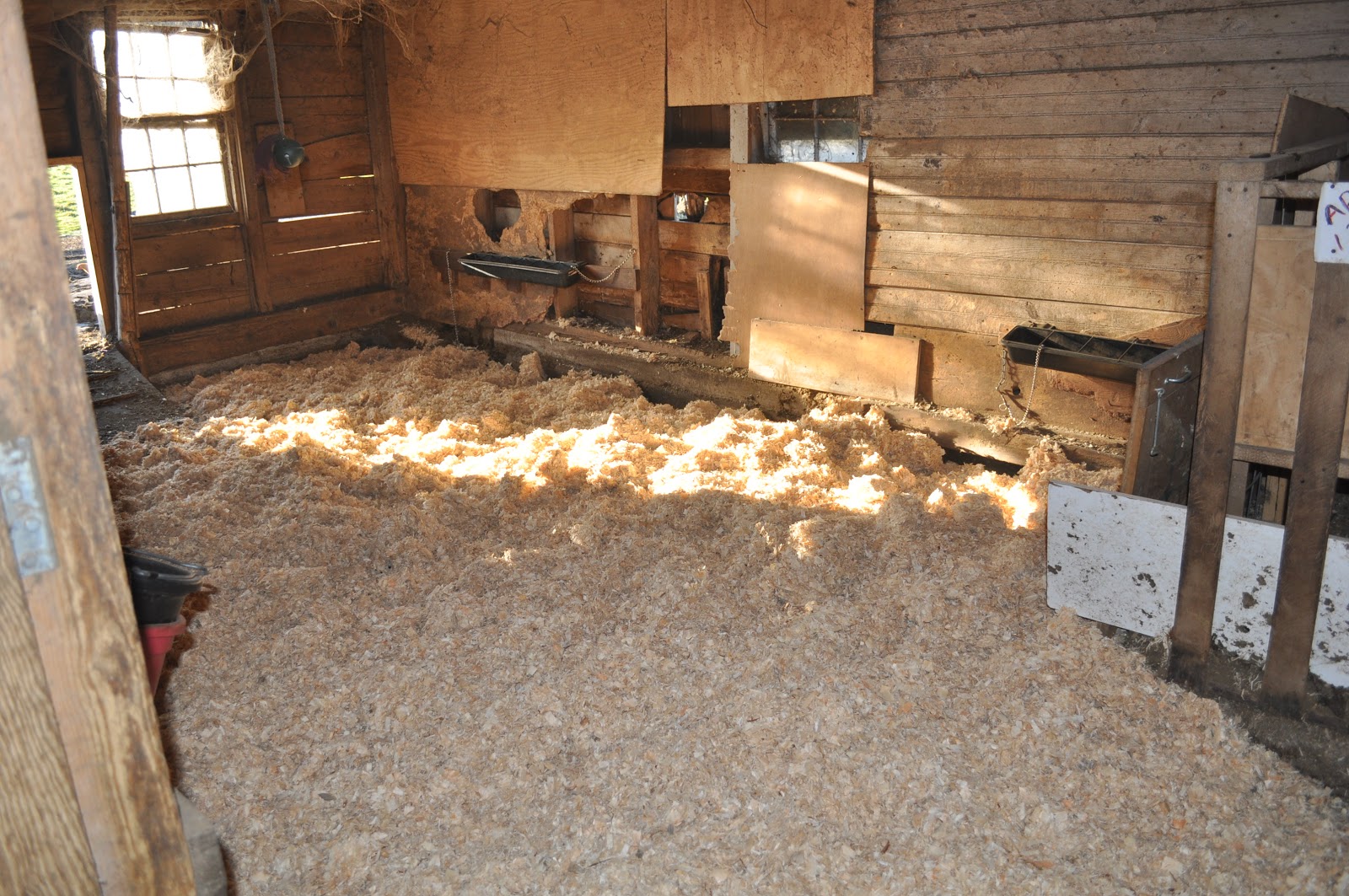 Mainely Ewes Farm Every Goat Needs A Clean Stall