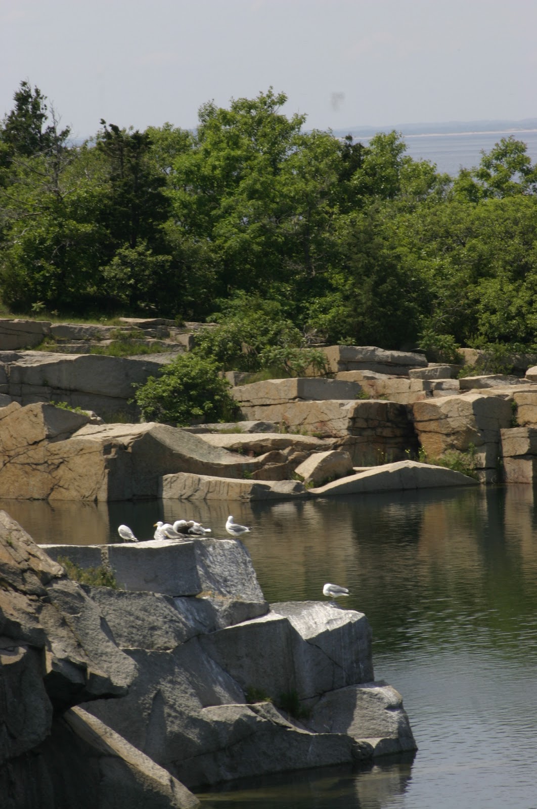 Roaming About Granite Quarry, Halibut Point State Park, Rockport, MA