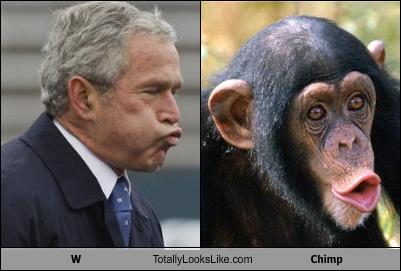 http://2.bp.blogspot.com/-3Sv56201WnQ/Tbd-QHOwNsI/AAAAAAAAFiI/AM2YW05tpAI/s1600/dubya+chimp+comp.jpg