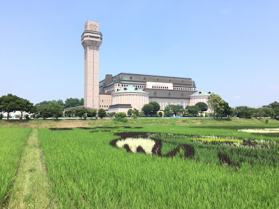 こしがや田んぼアート2015食戟のソーマ（7/12の様子）