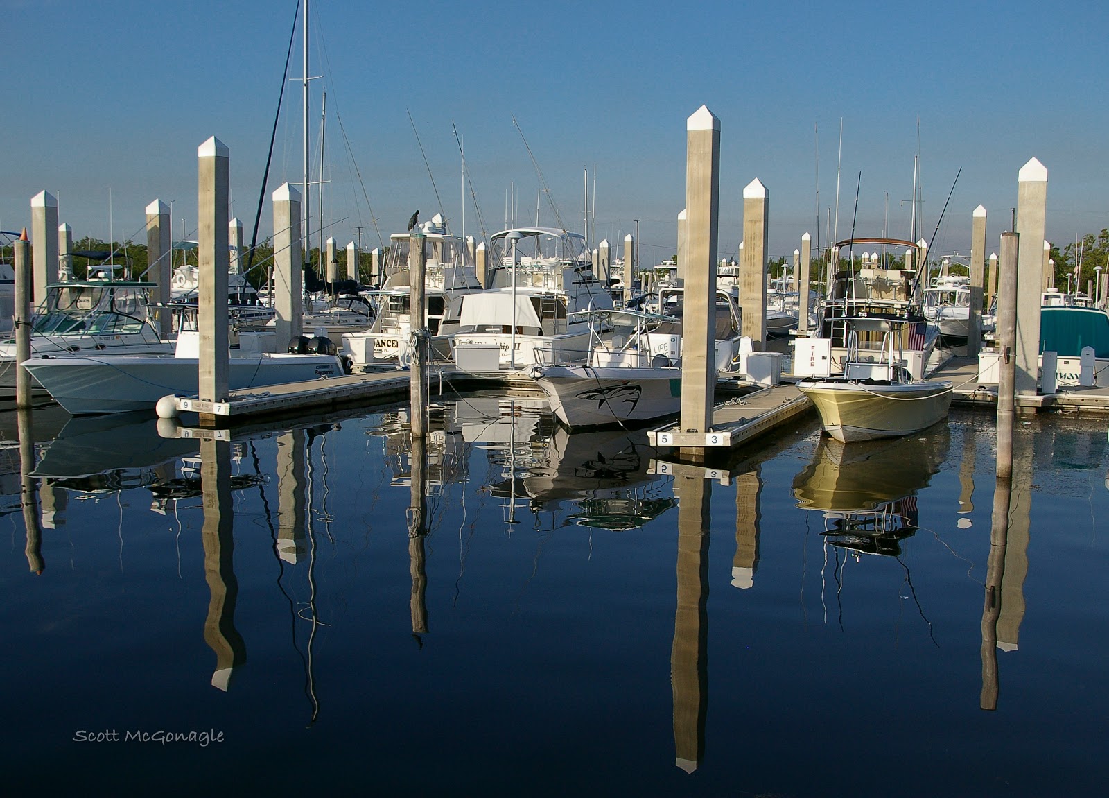 Matheson Hammock Marina, Boats, Fishing