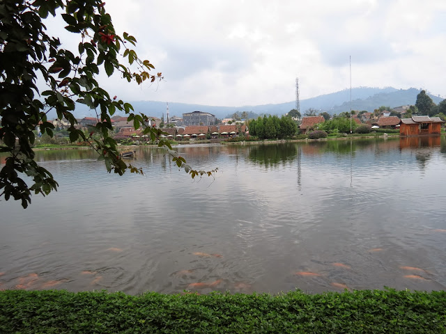 Petals and Pedals: Bandung (Indonesia) part I,