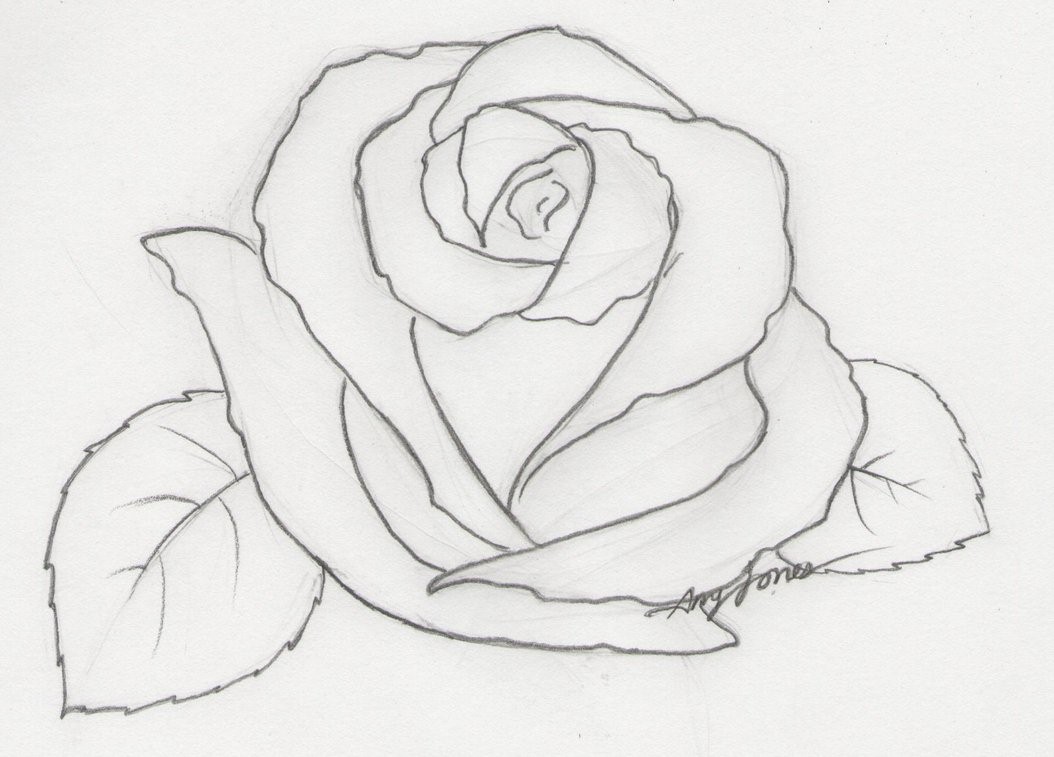 Featured image of post Easy Flower Drawings In Pencil - 1,732 flower pencil drawings products are offered for sale by suppliers on alibaba.com, of which colored pencils accounts for 3%, standard pencils accounts for 1%, and drawing toys accounts for 1%.