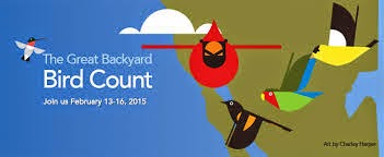 Great Backyard Bird Count