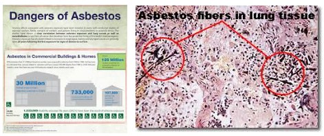 Asbestos Does Harm