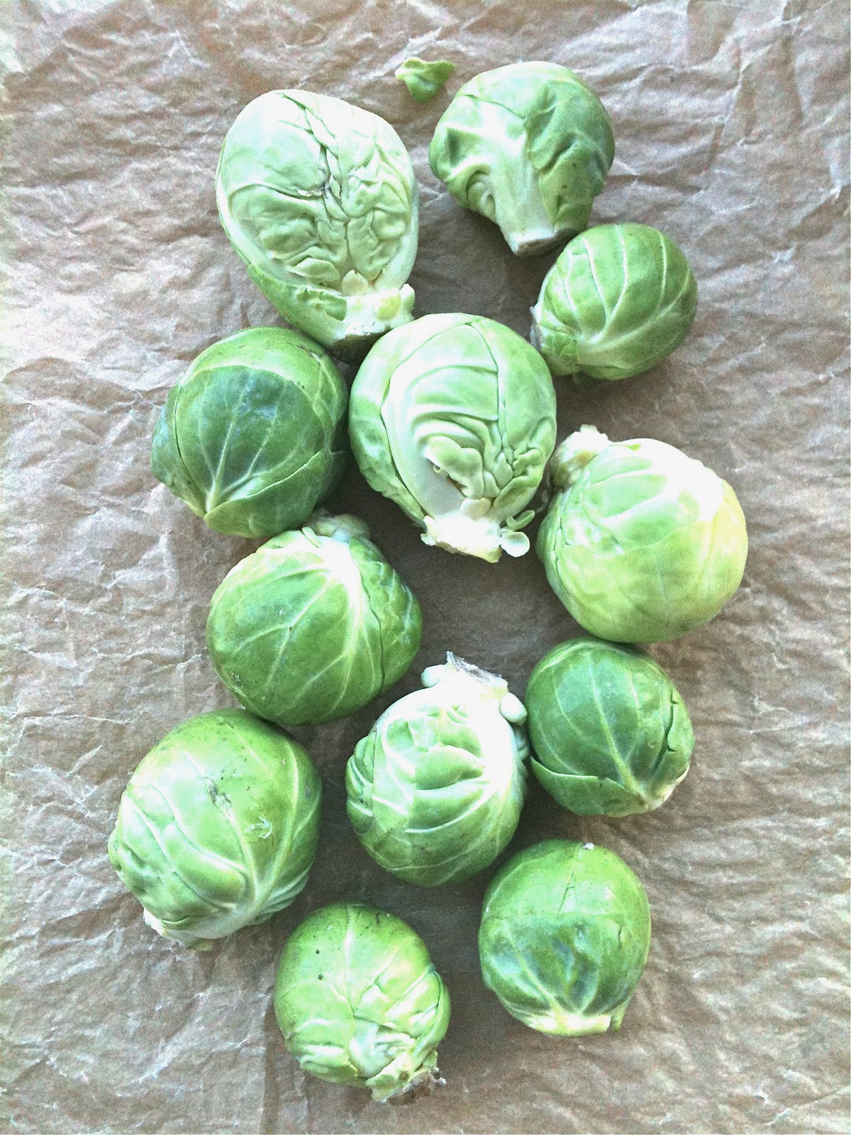 Passionately Raw! Raw Brussels Sprout Salad with Wasabi Vinaigrette