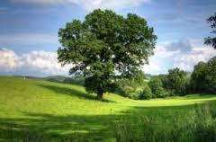 earth day images clip art earth day images clip art