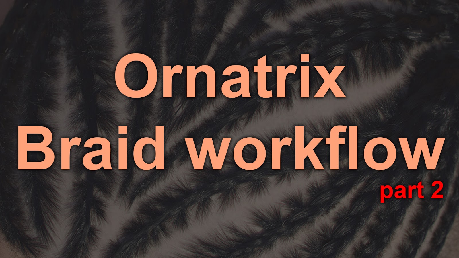 ORNATRIX_BRAID_WORKFLOW_p2.jpg