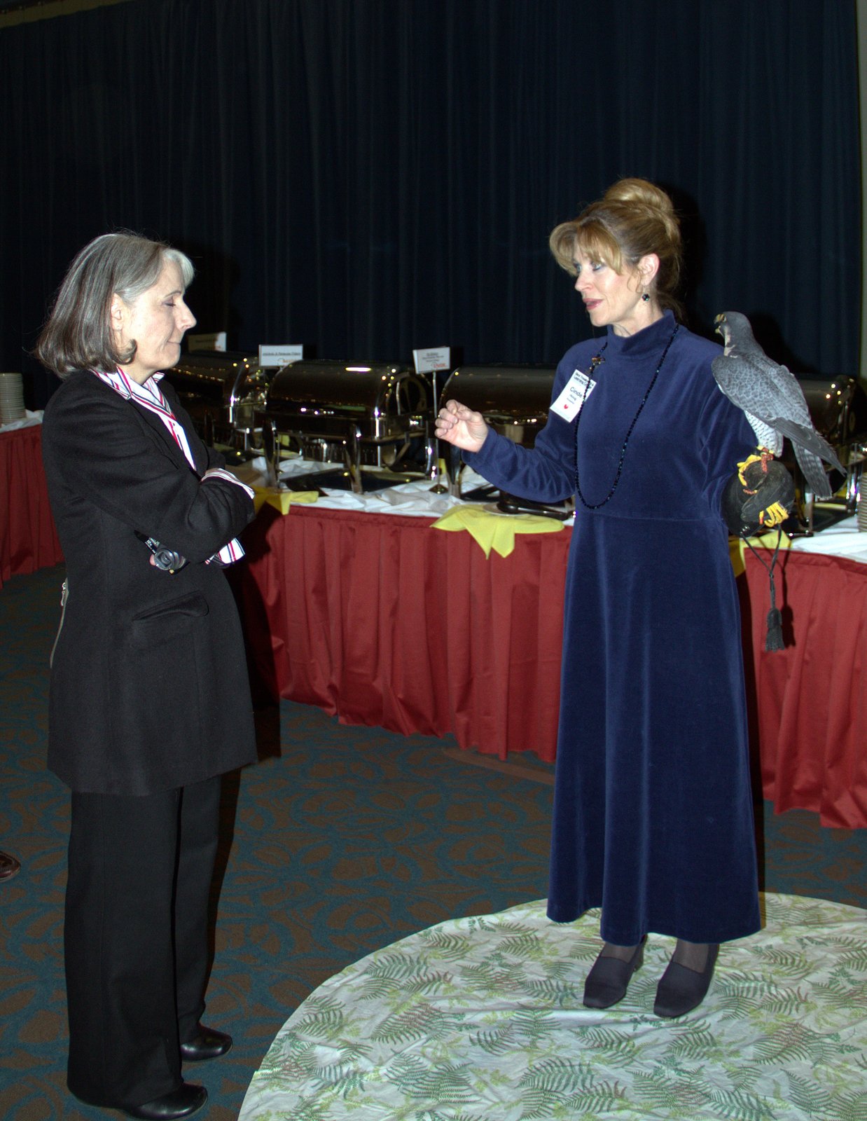 Bird Treatment and Learning Center Bird TLC 25th Anniversary / Live