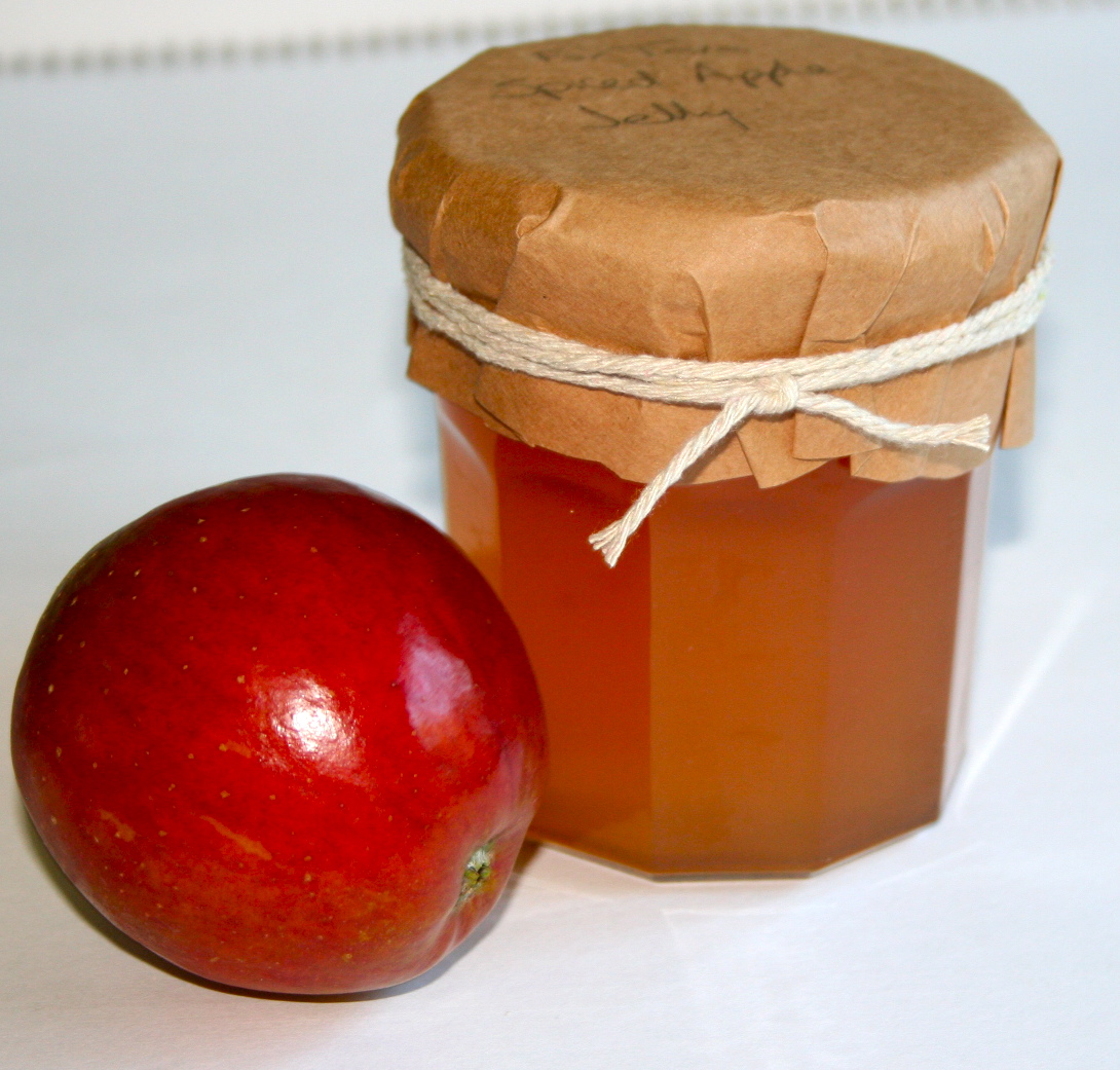 madebymum Cinnamon apple Jelly
