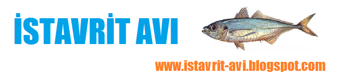Rüyada İstavrit Balığı Görmek Ne Anlama Gelir? - İstavrit Avı