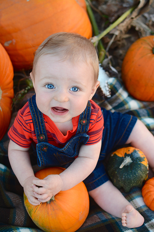 Fall, Pumpkin Patch | My Darling Days Fall, Pumpkin Patch | My Darling Days