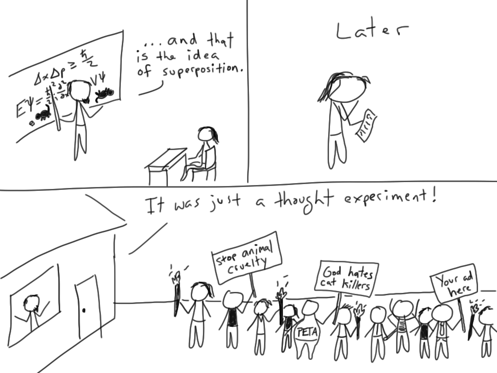 real_schrodingers_cat.png