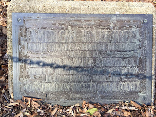 American Holly plaque at Indian Steps Museum