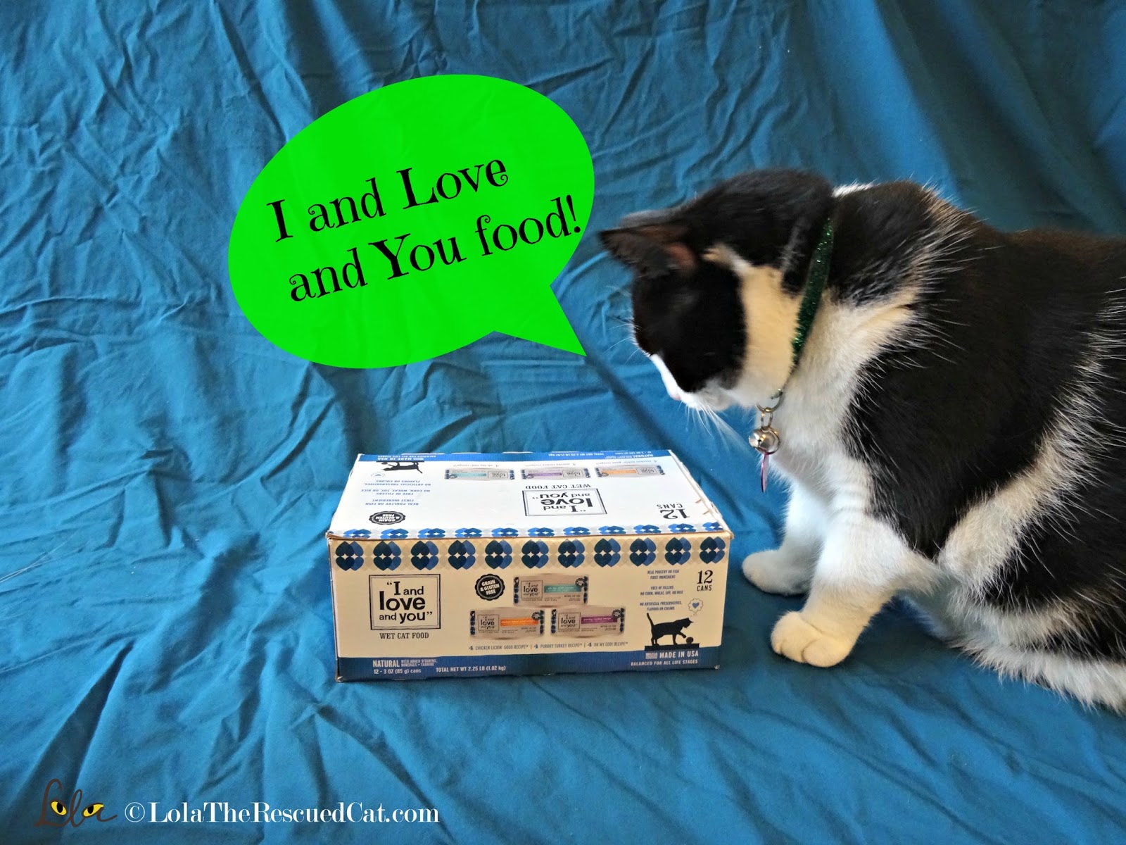 Lola The Rescued Cat I And Love And You Canned Cat Food Review