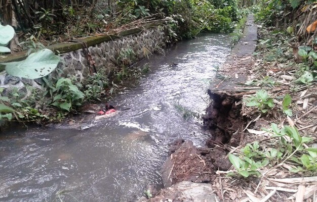 Saluran Air Jebol,  Warga Jembrana Kebanjiran
