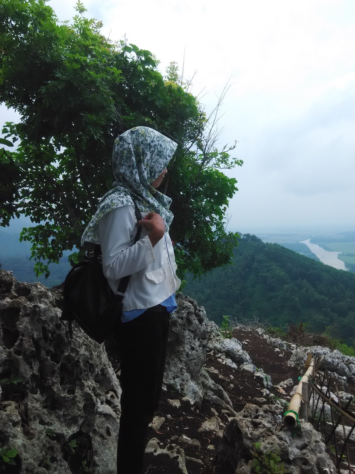 ALINEA: Pesona Jajaran Pantai timur Kebumen dari Atas ...