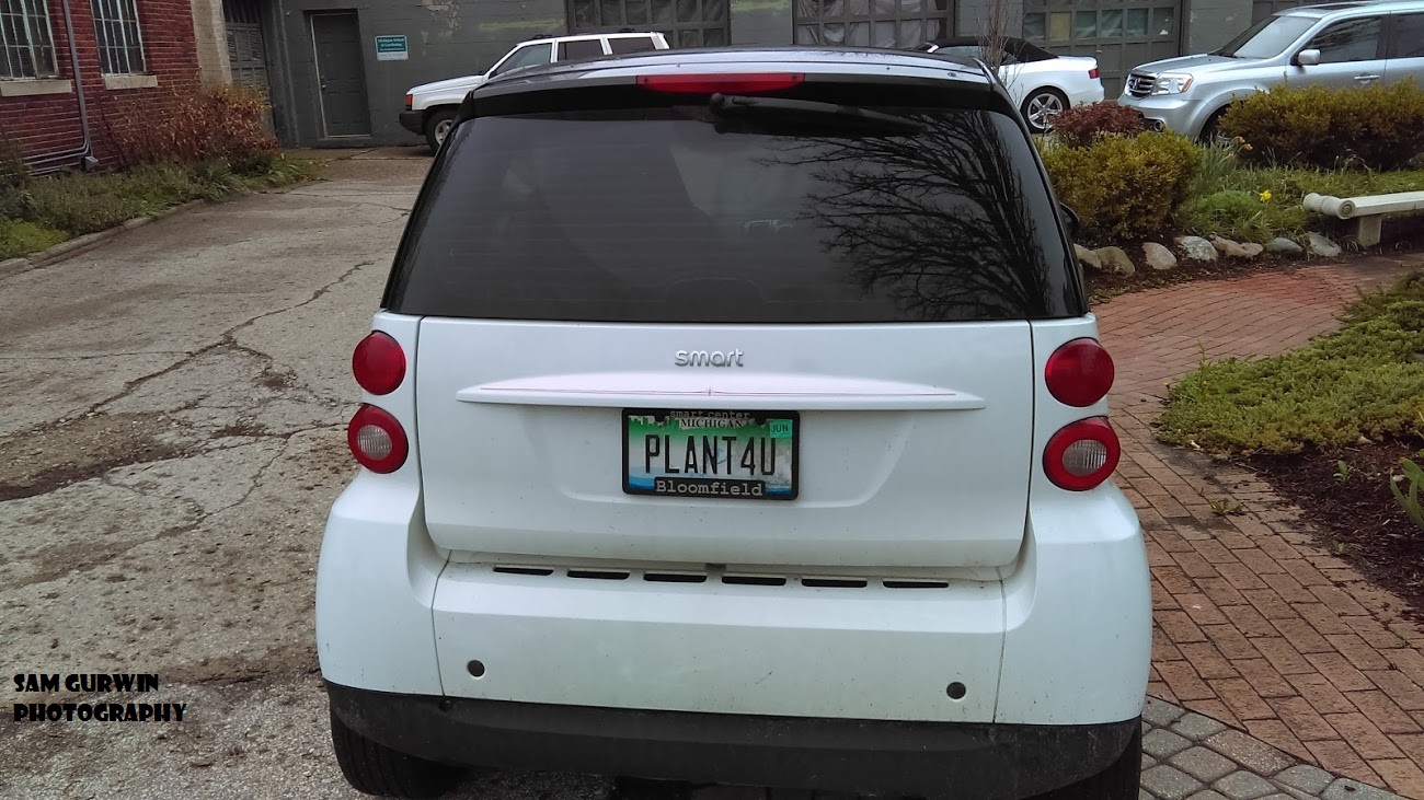 Gadfly Investigations Newspaper Pontiac Nursery is steeped in local