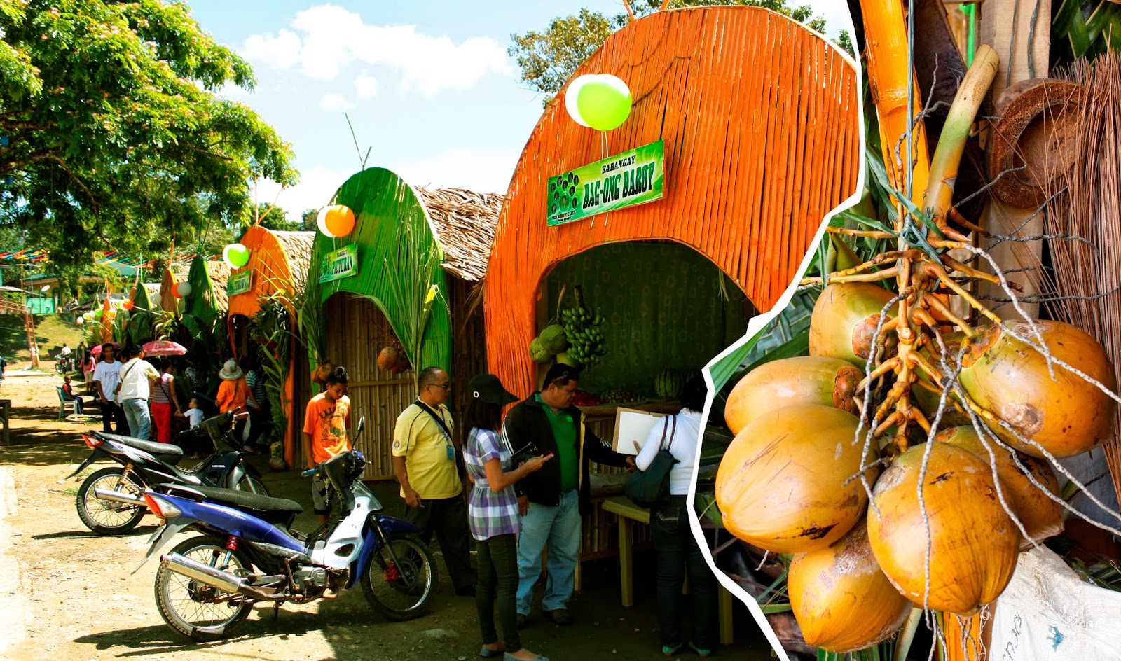 PIA Western Mindanao Sominot town holds coconut festival