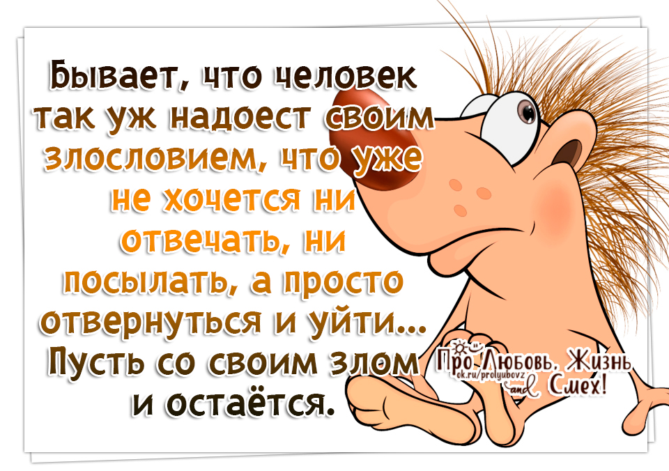 не хочется отвечать человеку. волки и люди цитаты. всегда хотела отвечать людям добром. не хочется отвечать человеку. не хочется отвечать человеку.