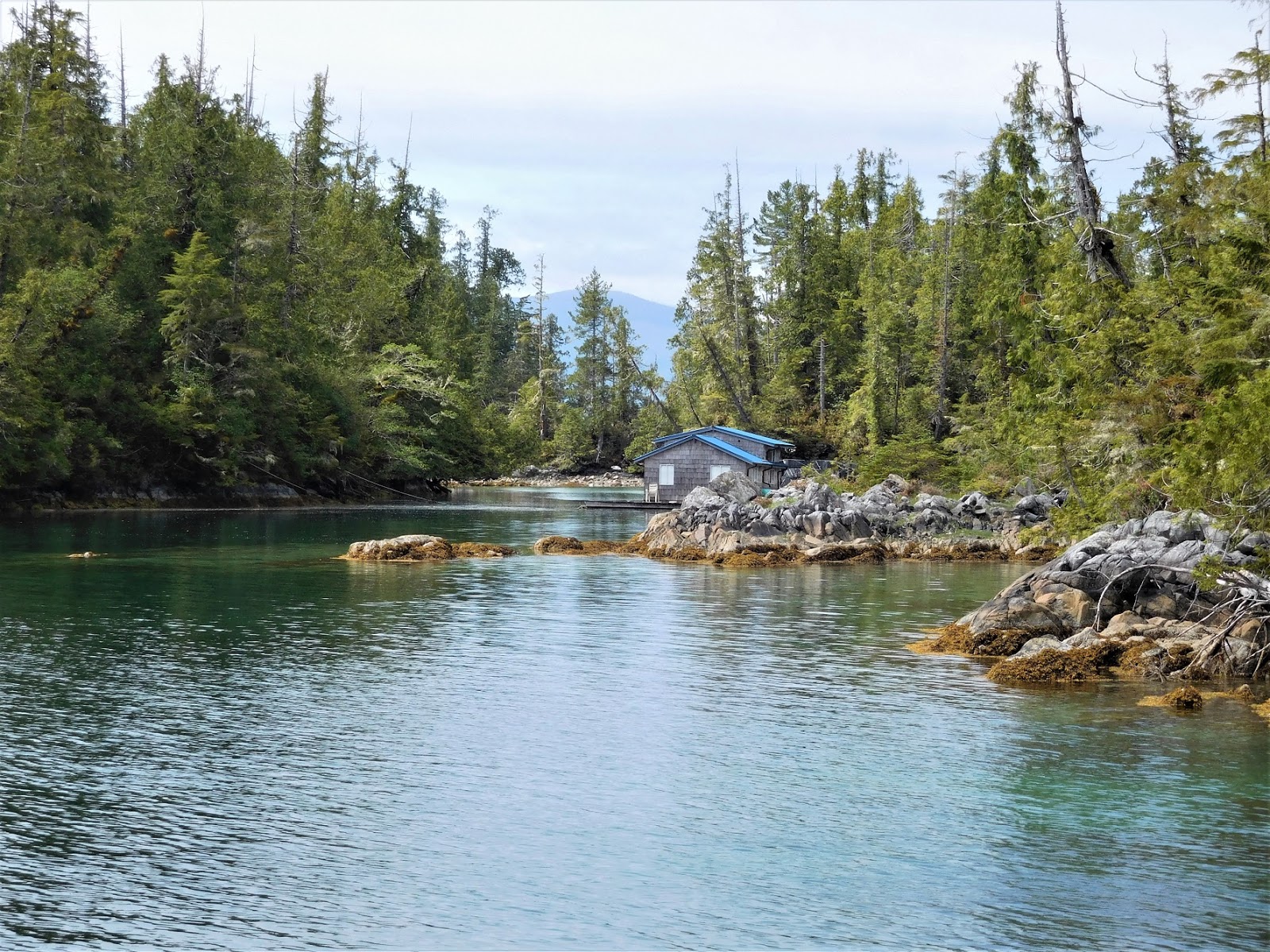 Rediscovering the West Side Barkley Sound, a Variety of Destinations