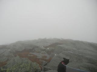 The view from the summit at Camel's Hump State Park during fog