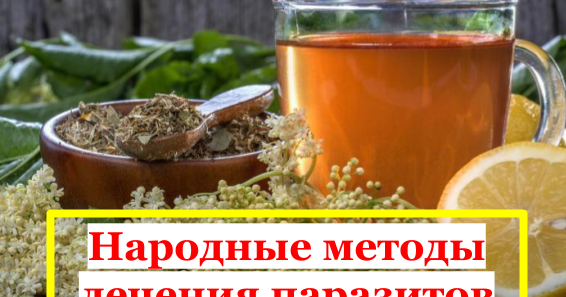 лечение паразитов в организме стационарно новосибирск лечение паразитов в организме стационарно новосибирск