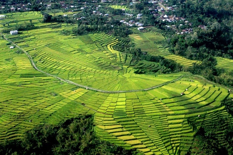 arypelut42.blogspot.co.id