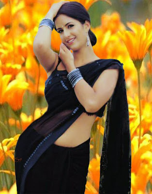 Katrina Kaif Black Saree Photos