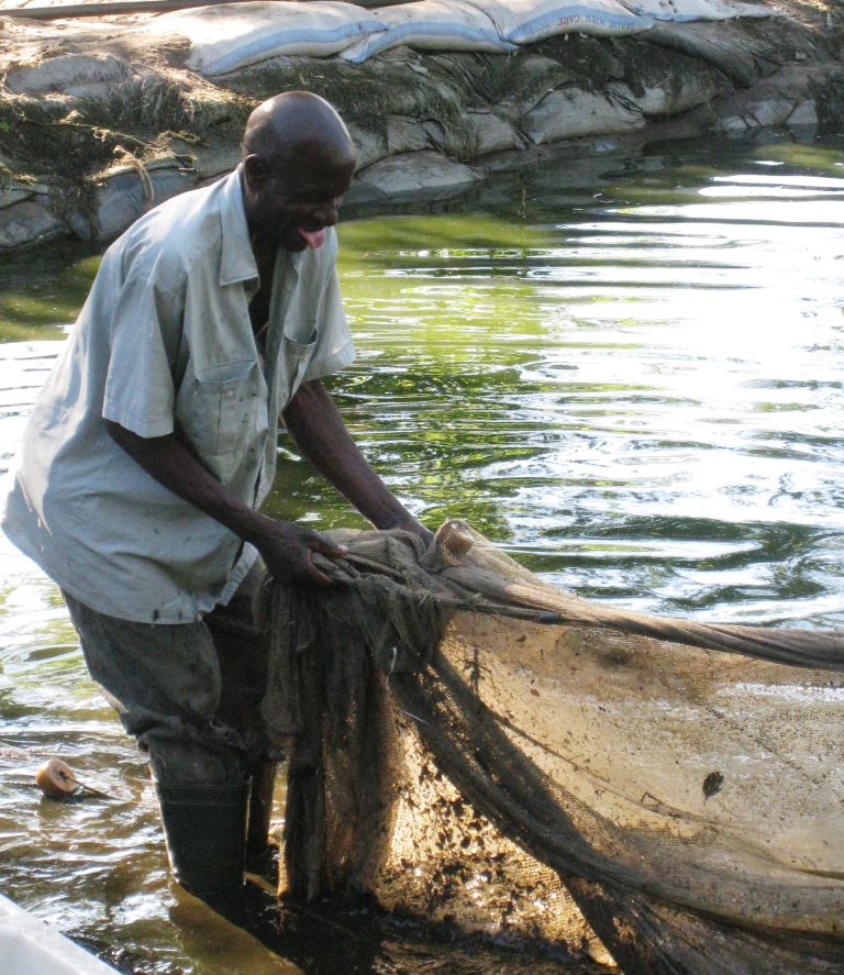 The McAuleys In Zambia 2013