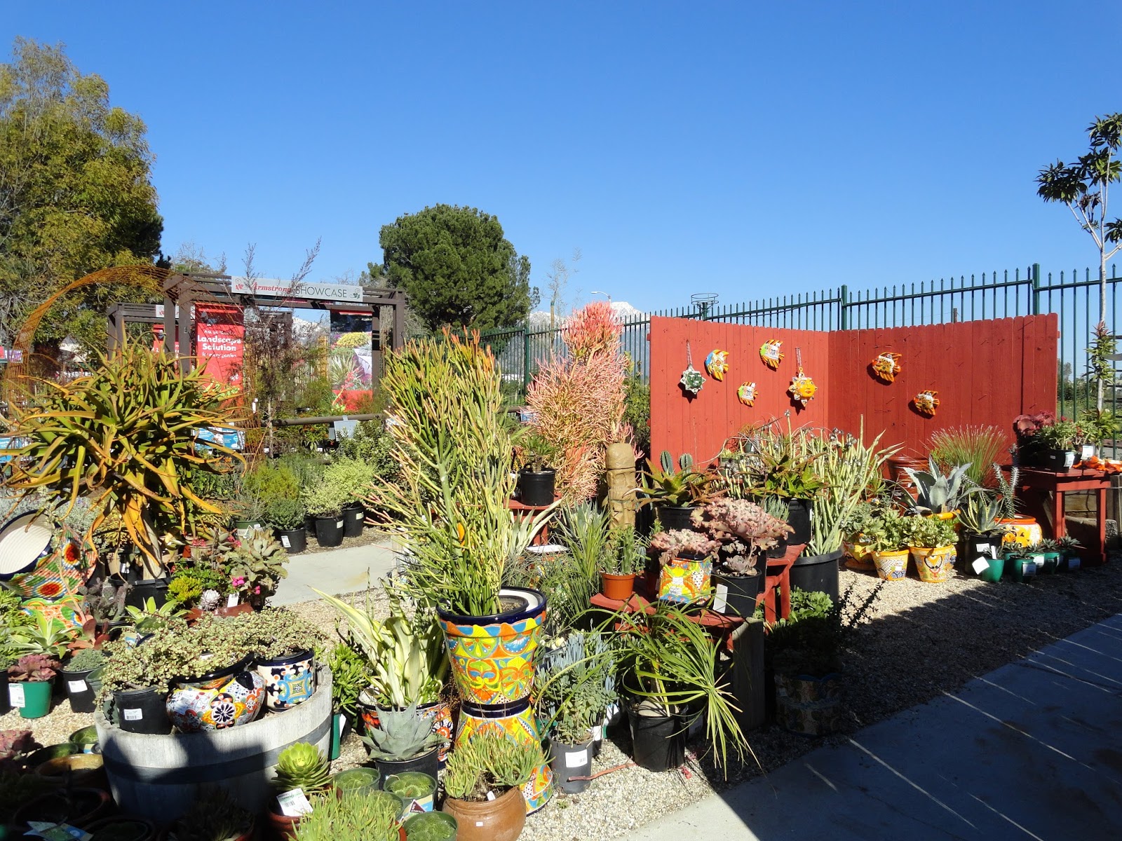 Danger Garden Armstrong Garden Center In Claremont California