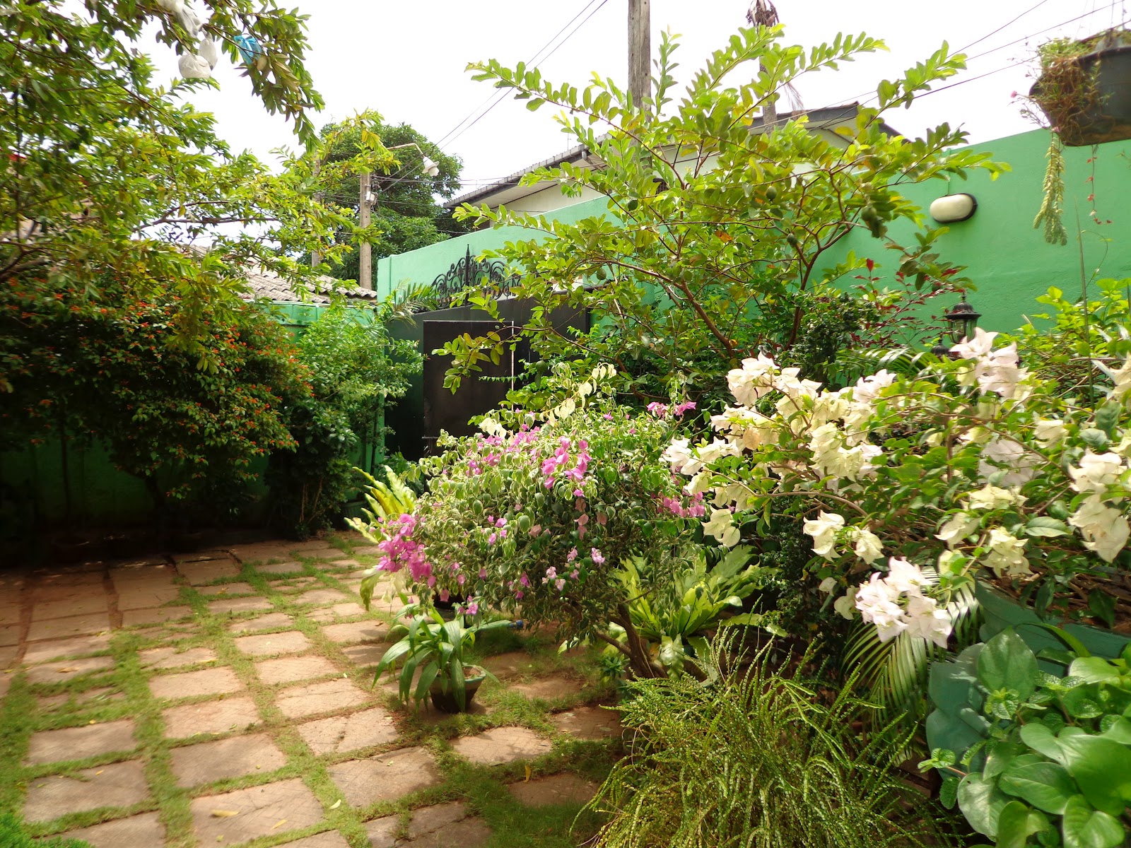 Properties in Sri Lanka (932) 2 Storied House for Sale Dehiwala