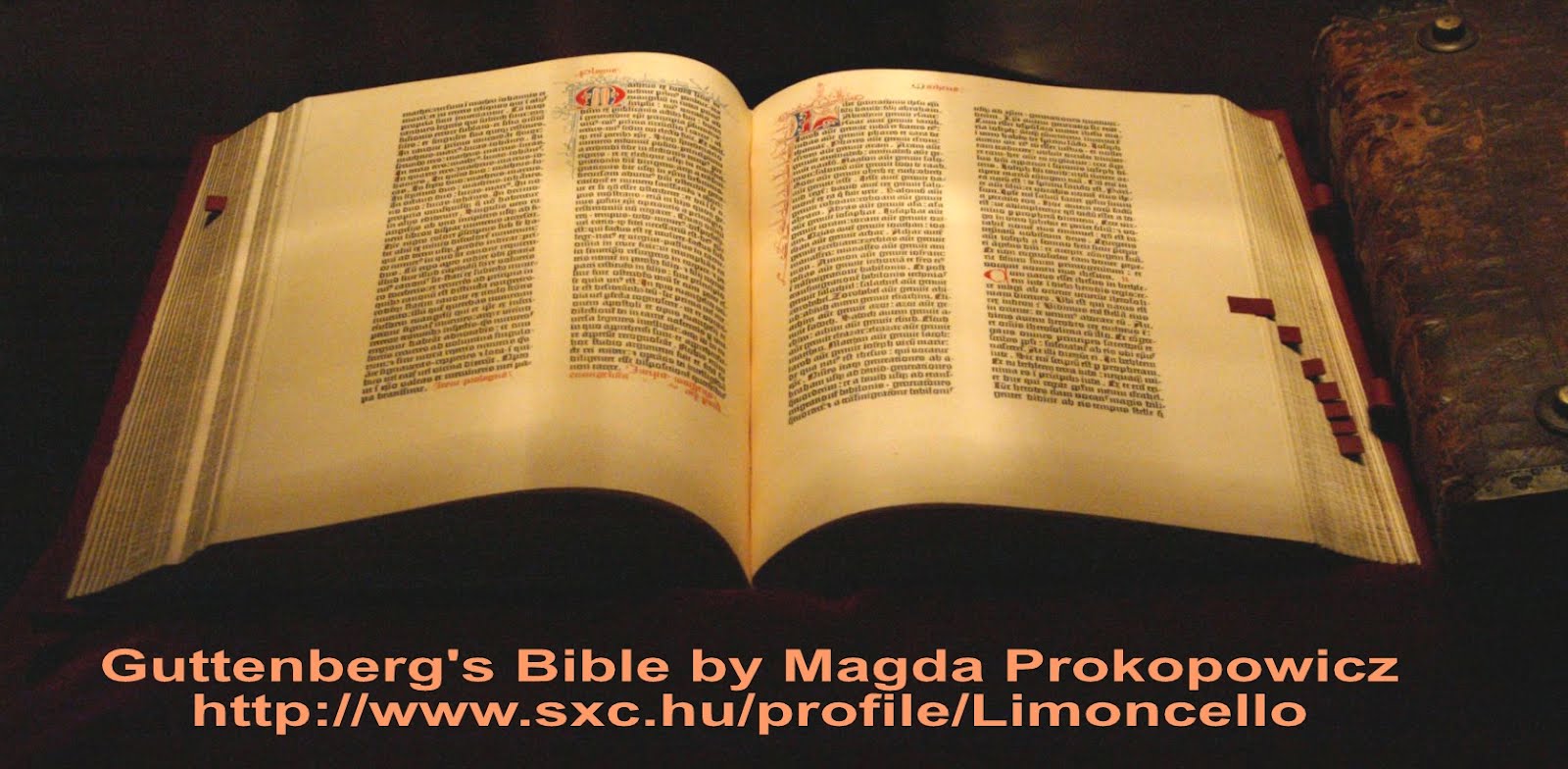 The Bible is the most published book in the world 34 The Bible is the most published book in the world 77