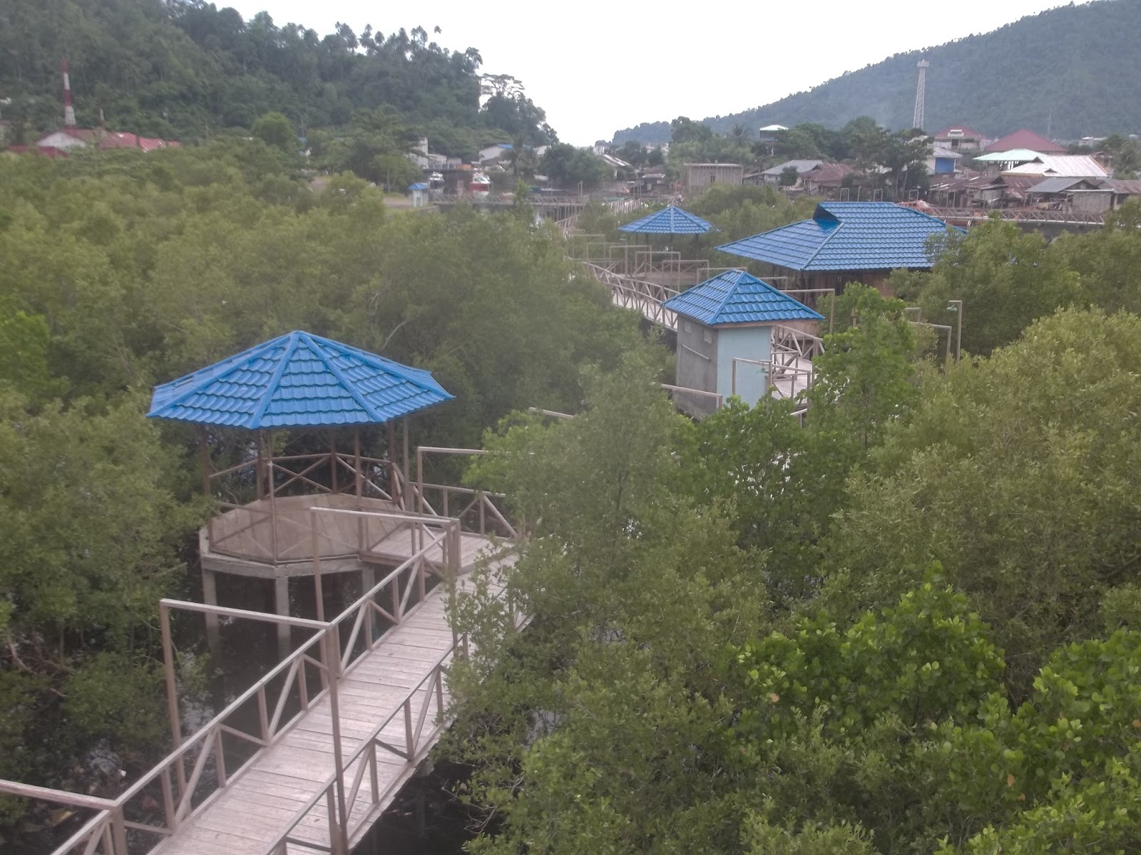Wisata Mangrove Tahuna ~ Wisata Syarta - Stevenly Takapaha