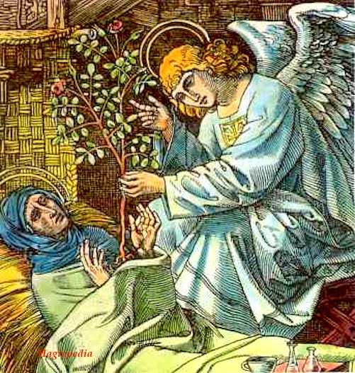 HAGIOPEDIA Santa LIDVINA DE SCHIEDAM. (13801433).