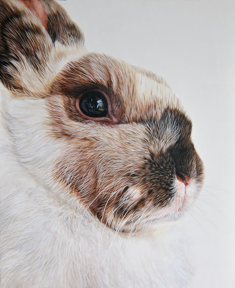 Ester Curini | Italian Animal Painter