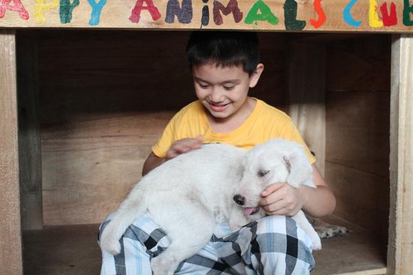 Cảm phục cậu bé 9 tuổi xây dựng ngôi nhà chung cho những thú nuôi bị bỏ rơi