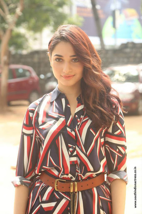 Tamannaah at Queen Movie Launch