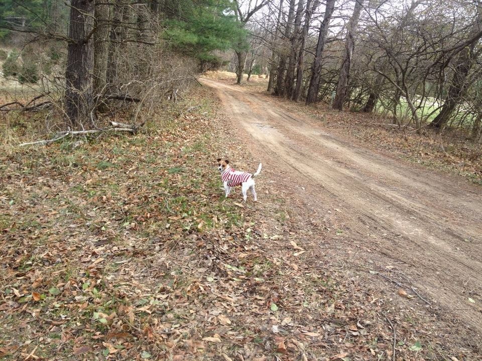 Southwind Farm, Inc. A Premier Horse Boarding Facility located in