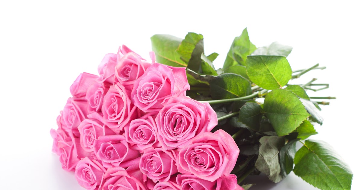 A Bouquet of Pink Roses HD Wallpaper | HD Nature Wallpapers