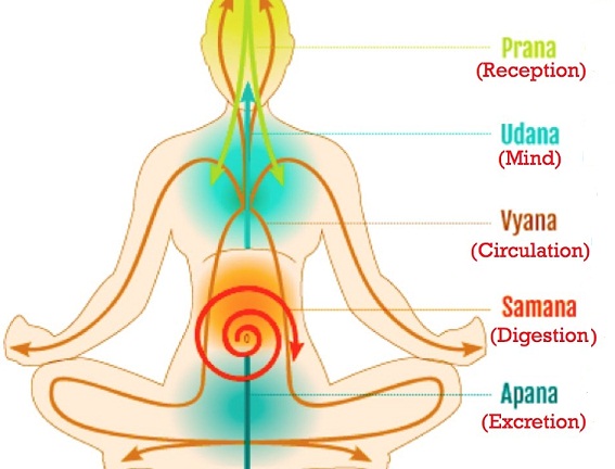 me my thoughts 36 prana vayu life breath the vital force
