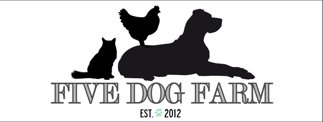 Five Dog Farm