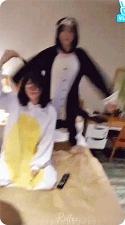 토끼 비니 & 고양이 진이.gif | 인스티즈