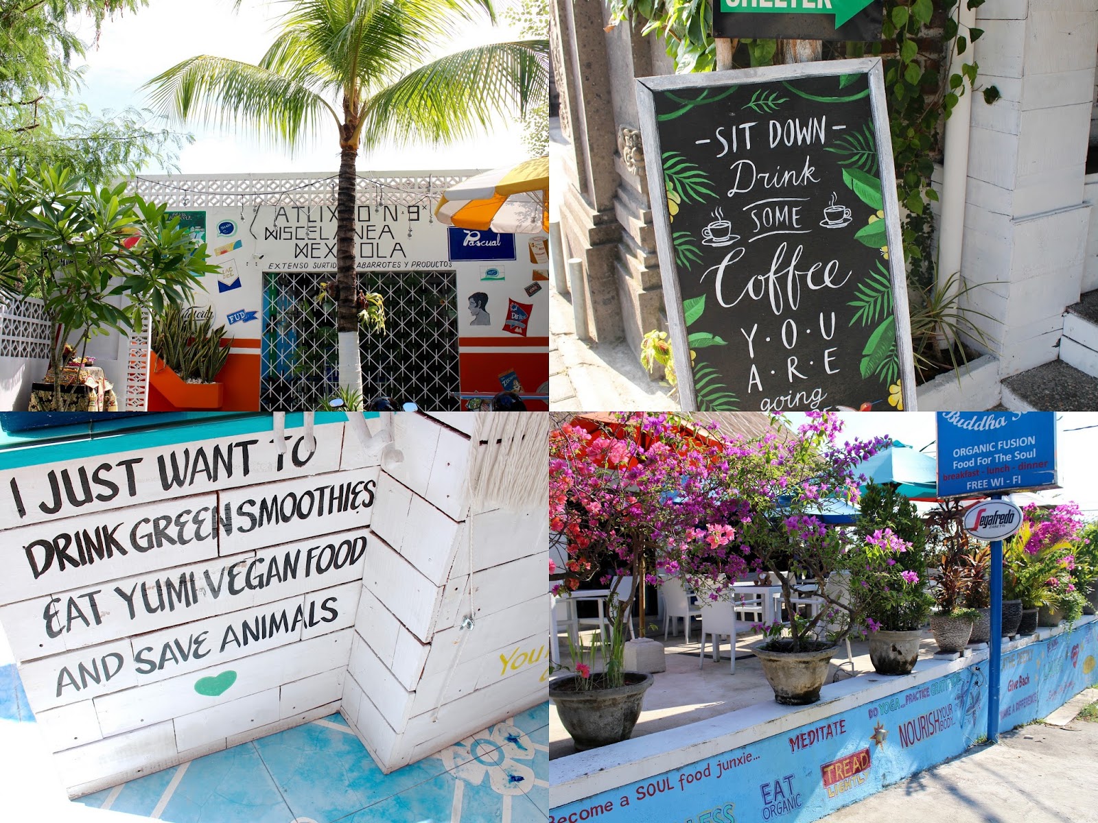 Bali Food Guide
