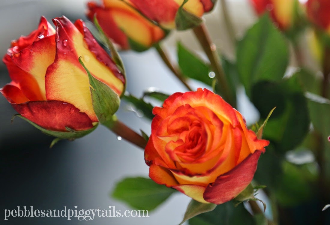 How To Keep A Flower Bouquet Fresh Making Life Blissful