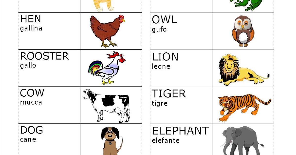 Animale Con La A In Inglese MAPPE per la SCUOLA: ANIMALI IN INGLESE