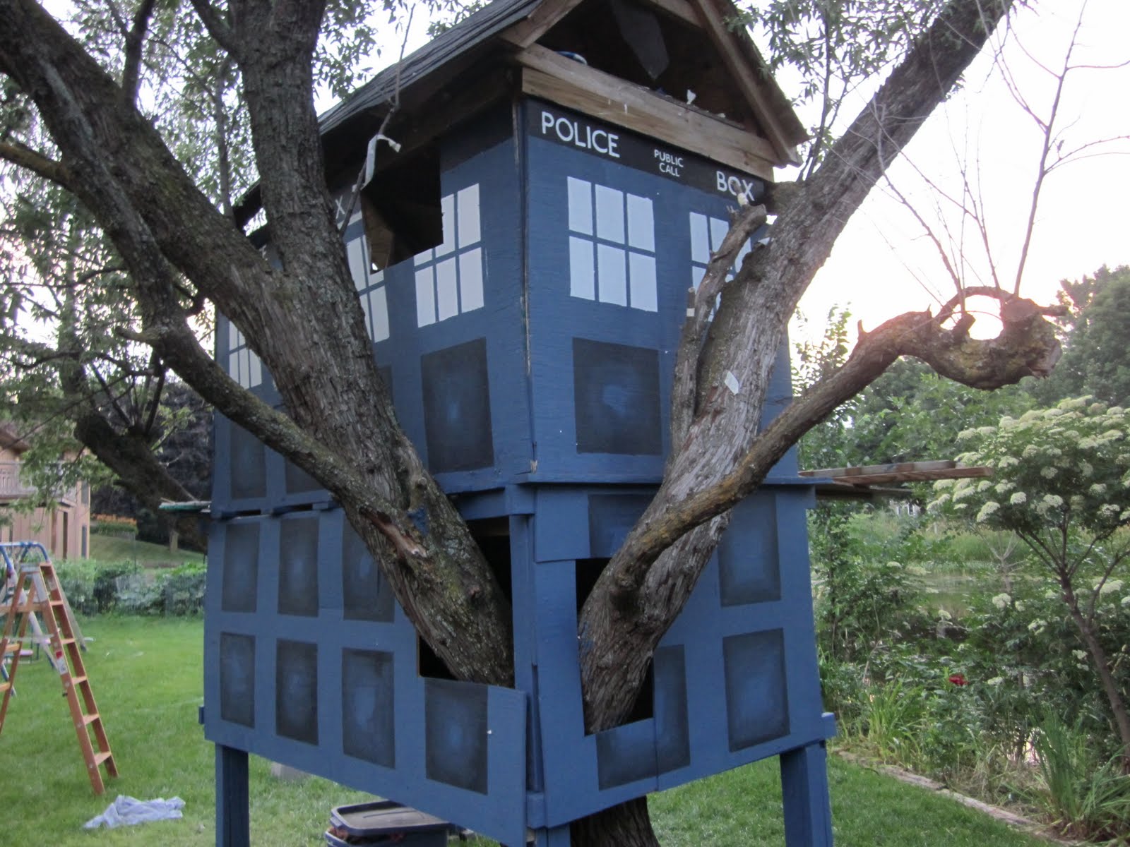 Event Horizon: Operation TARDIS Tree House